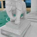 渭南 白麻花岗岩动物异形石雕-大象