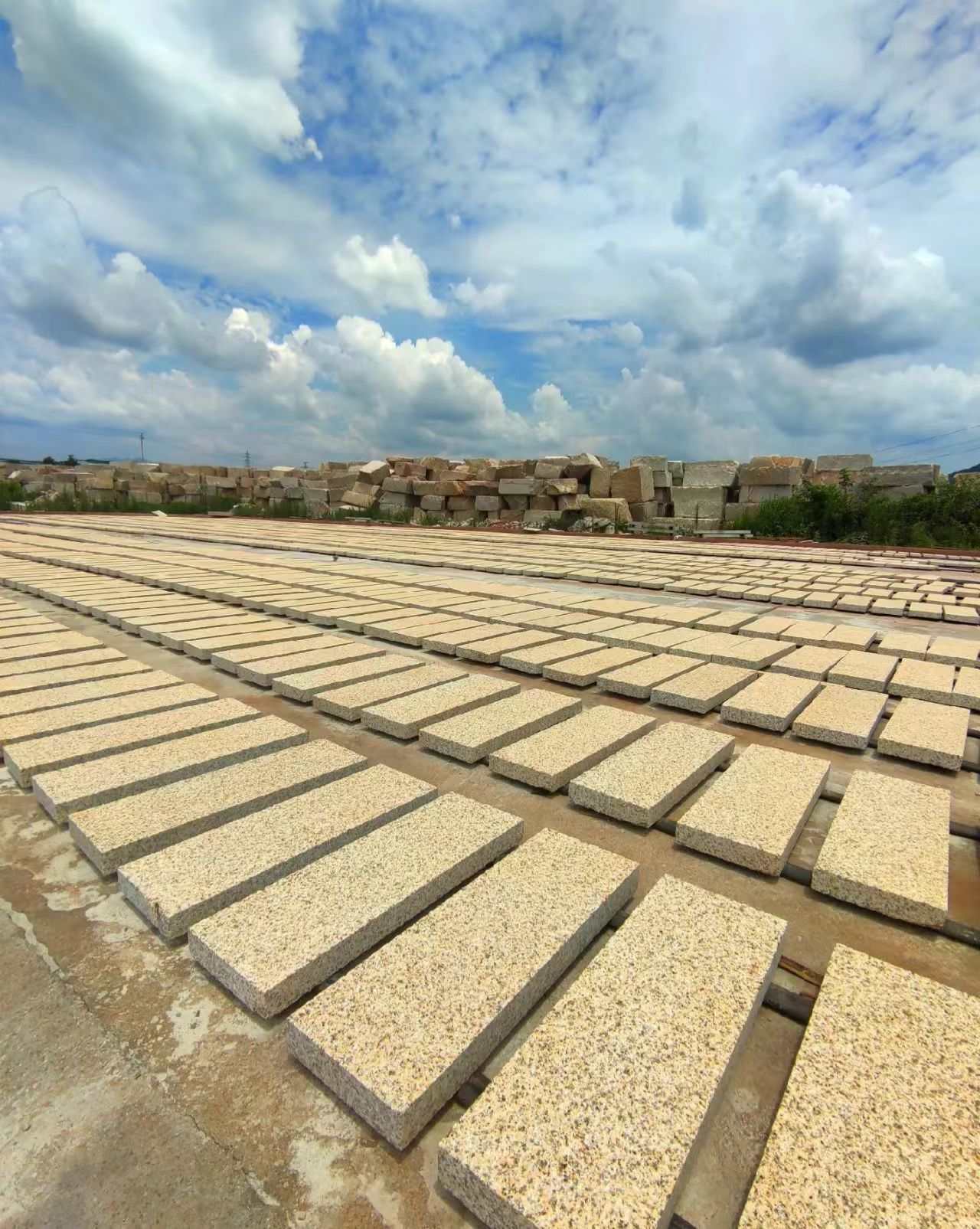 渭南 黄金麻花岗岩荔枝面地铺石防护中